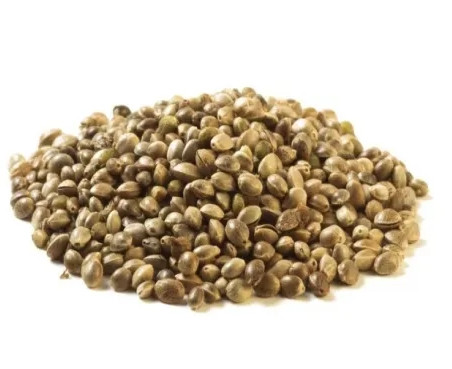 Hemp Seed Protein.jpg